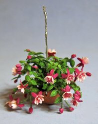 Fuchsia in a Terra Cotta Hanging Pot Half-inch scale