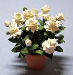 Gardenia in a Terra Cotta Pot One-inch scale