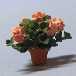 Geraniums in a Pot Quarter-inch scale