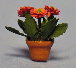 Gerbera Daisy in a Pot Quarter-inch scale