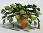 Heart-Leaf Philodendron in a Terra Cotta Pot Half-inch scale