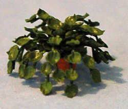 Heart-Leaf Philodendron in a Pot Quarter-inch scale