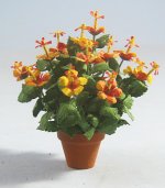 Hibiscus in a Terra Cotta Pot Half-inch scale