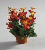 Hibiscus in a Pot Quarter-inch scale