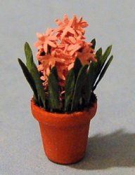 Hyacinth in a Terra Cotta Pot Half-inch scale