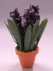 Hyacinth in a Terra Cotta Pot One-inch scale