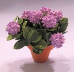 Hydrangea in a Terra Cotta Pot Half-inch scale