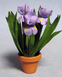 Iris in a Terra Cotta Pot One-inch scale