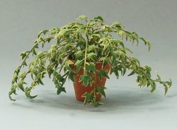 English Ivy in a Terra Cotta Pot One-inch scale