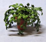 Ivy in a Terra Cotta Pot Half-inch scale