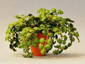 Ivy in a Terra Cotta Pot One-inch scale