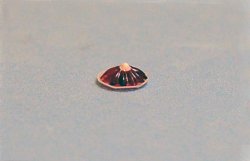 Jello Quarter-inch scale