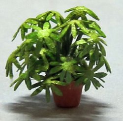 Lady Palm in a Pot 1/120th scale
