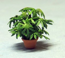 Lady Palm in a Pot 1/144th scale