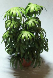 Lady Palm in a Terra Cotta Pot One-inch scale