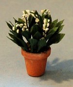 Lily of the Valley in a Terra Cotta Pot Half-inch scale
