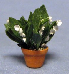 Lily of the Valley in a Pot Quarter-inch scale