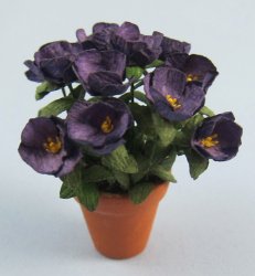 Lisianthus in a terra-cotta pot Half-inch scale