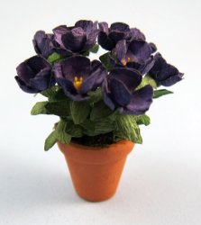Lisianthus in a terra-cotta pot One-inch scale