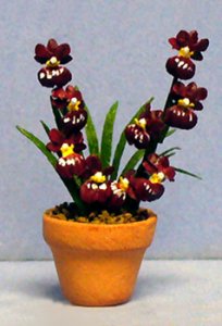 Miltonia Orchid in a Terra Cotta Pot Half-inch scale