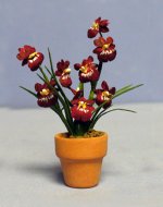 Miltonia Orchid in a Terra Cotta Pot One-inch scale