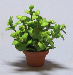 Herb-Mint Plant in a Terra Cotta Pot Half-inch scale