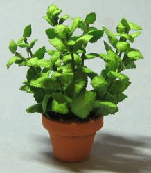 Herb-Mint Plant in a Terra Cotta Pot One-inch scale