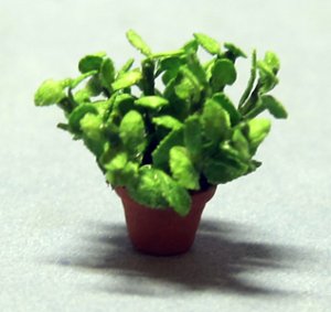 Herb-Mint Plant in a Terra Cotta Pot Quarter-inch scale