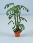 Monstera in a Pot Quarter-inch scale