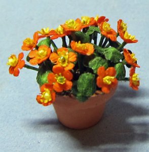 Nasturtium in a Terra Cotta Pot Half-inch scale