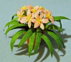 Daylily in a Terra Cotta Pot One-inch scale
