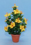 Hibiscus in a Terra Cotta Pot One-inch scale