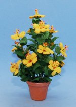 Hibiscus in a Terra Cotta Pot One-inch scale
