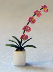 Phalaenopsis Orchid in a Pot Quarter-inch scale