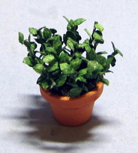 Herb-Oregano Plant in a Terra Cotta Pot One-inch scale