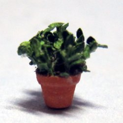 Herb-Oregano Plant in a Pot Quarter-inch scale