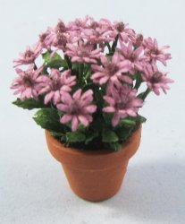 Osteospermum in a Terra Cotta pot One-inch scale