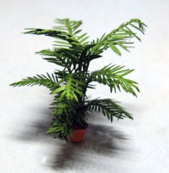 Palm in a Pot Quarter-inch scale