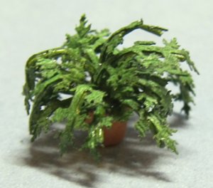 Herb-Parsley Plant in a Terra Cotta Pot Quarter-inch scale
