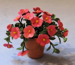 Petunia in a Terra Cotta Pot Half-inch scale