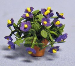 Petunia in a Pot Quarter-inch scale