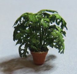 Lacy Philodendron in a Pot 1/120th scale