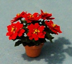 Poinsettia in a Pot Quarter-inch scale