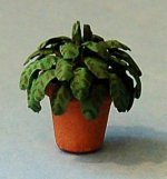 Prayer Plant in a Terra Cotta Pot Half-inch scale