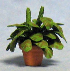 Prayer Plant in a Pot Quarter-inch scale