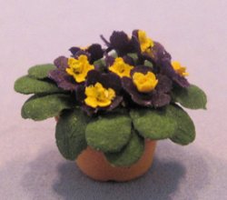 Primrose in a Terra Cotta Pot Half-inch scale