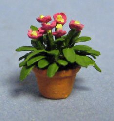 Primrose in a Pot Quarter-inch scale