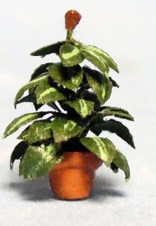 Rubber Plant in a Pot 1/120th scale