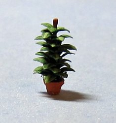 Rubber Plant in a Pot 1/144th scale