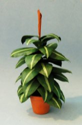 Rubber Plant in a Terra Cotta Pot One-inch scale